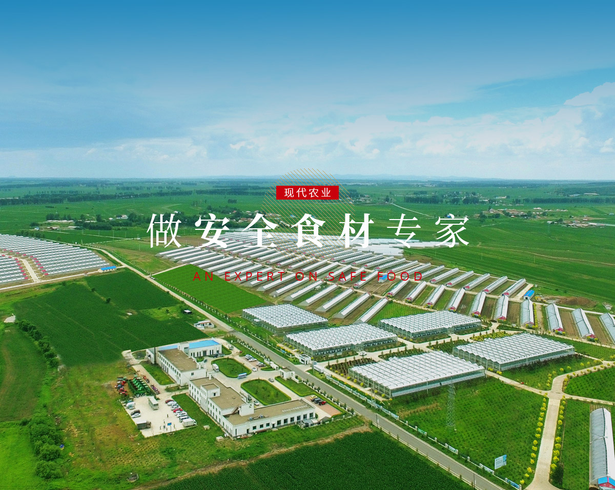 PA旗舰厅(中国区)官方网站-PlayAce