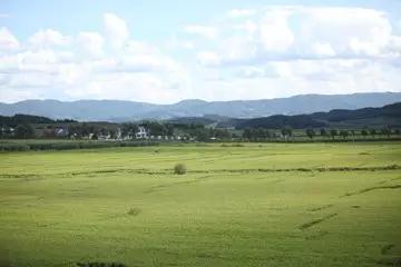 PA旗舰厅(中国区)官方网站-PlayAce